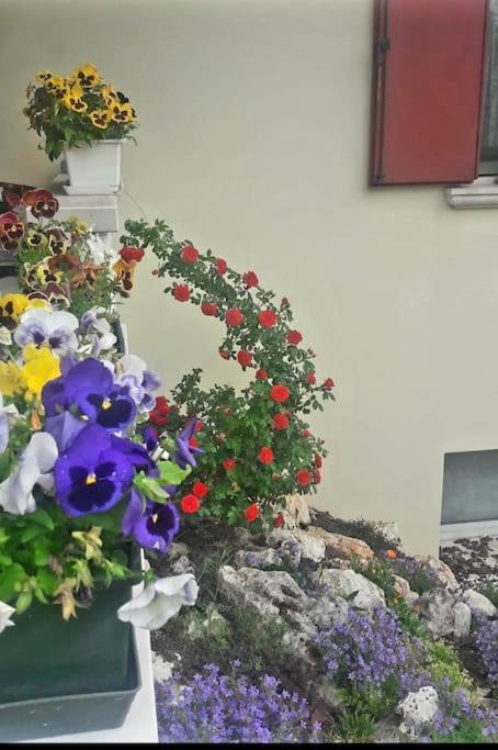 Holiday home Ama Pordenone