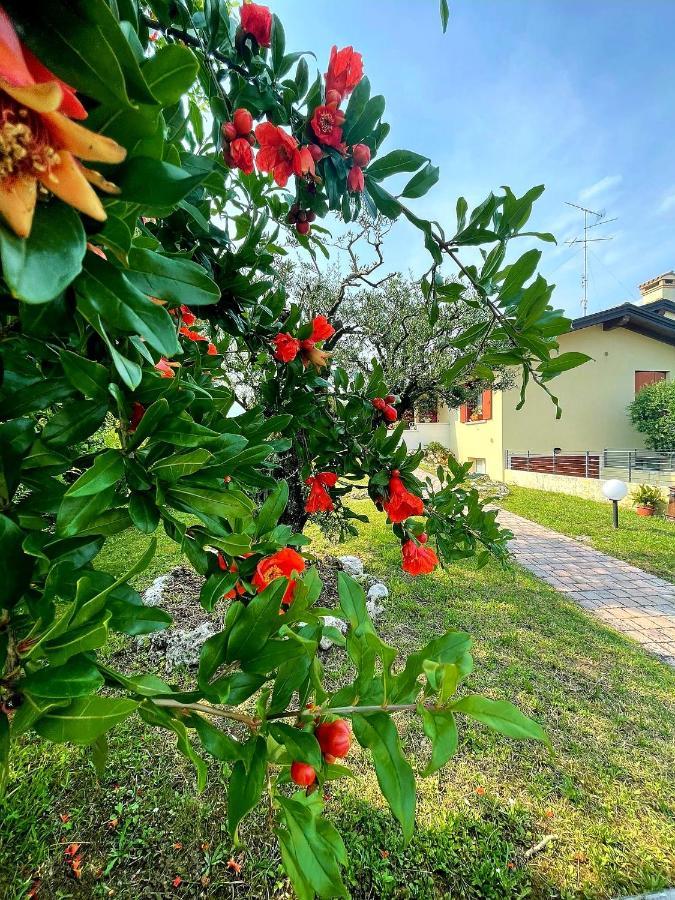 Ama Holiday home Pordenone